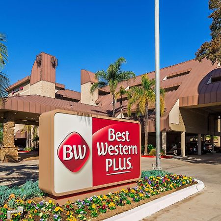 Best Western Plus Irvine Spectrum Hotel Lake Forest Buitenkant foto